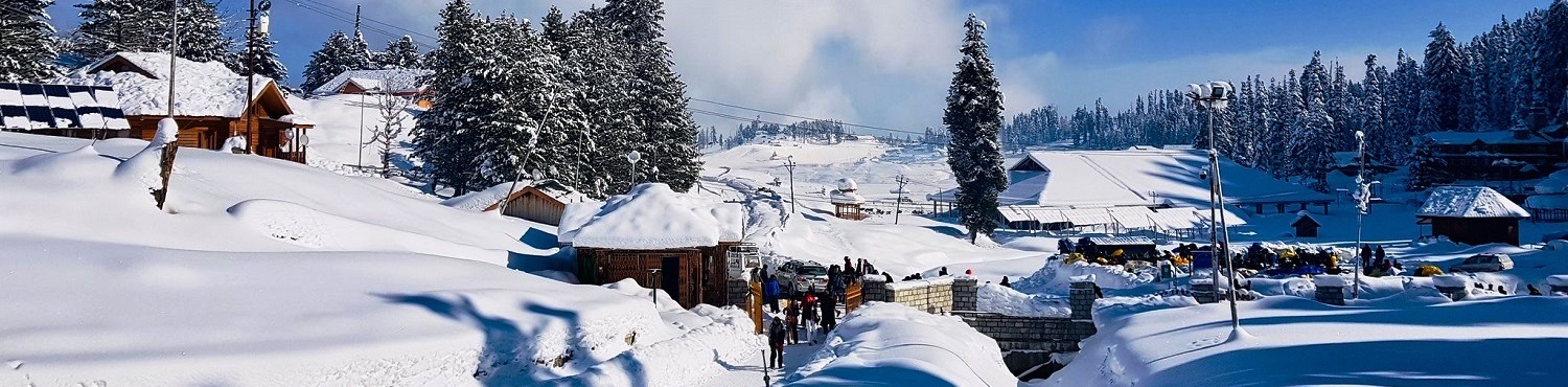 Picture of Package Exotic Kashmir with Gulmarg